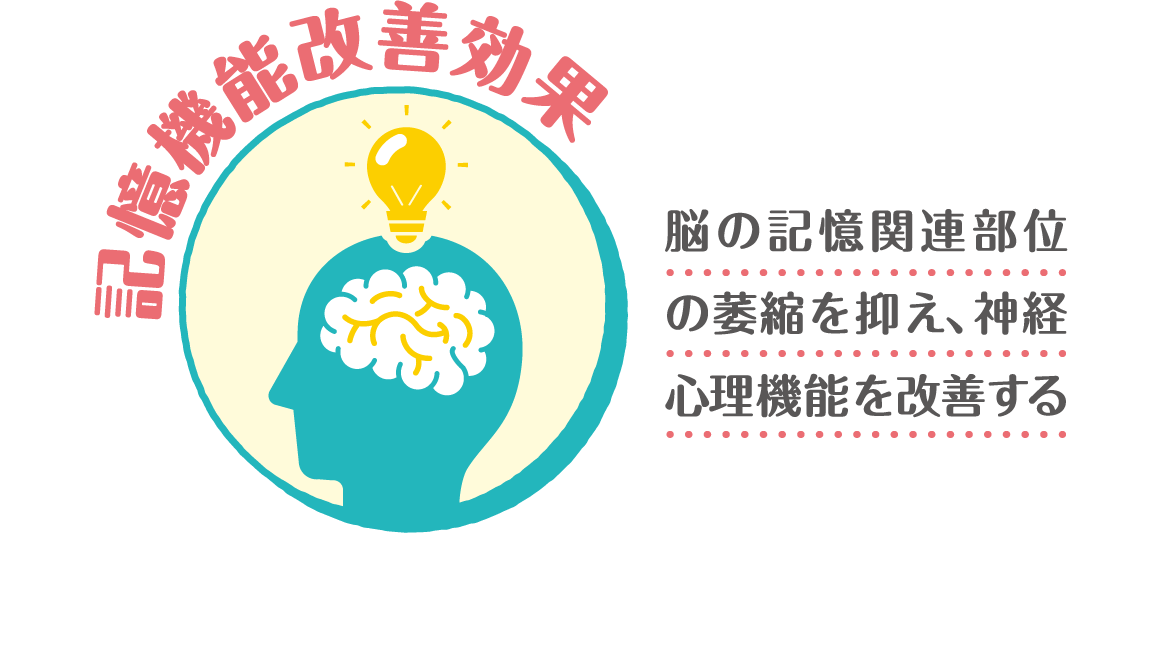 記憶機能改善効果 脳の記憶関連部位の萎縮を抑え、神経心理機能を改善する